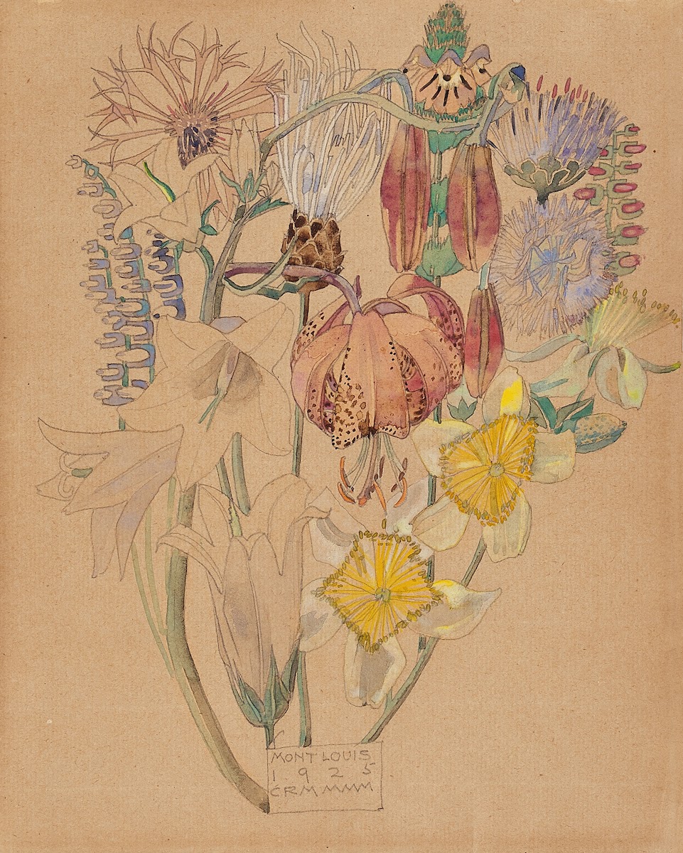 Mont Louis  Flower Study 1925