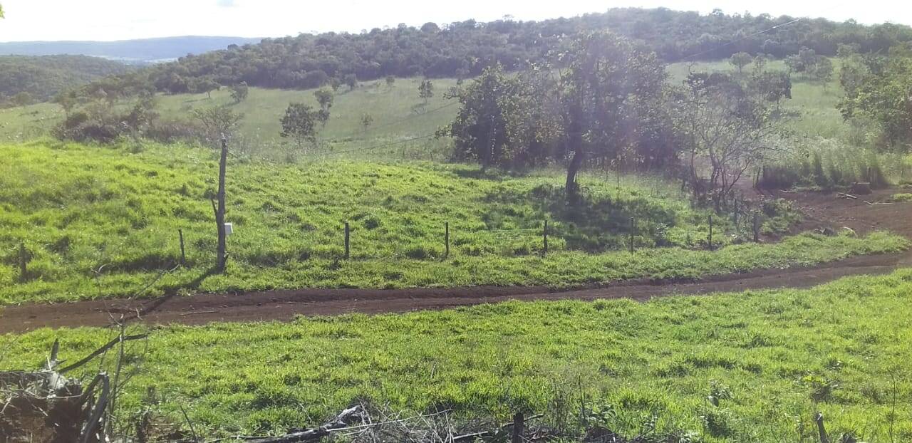 Fazenda em Niquelândia - GO 5