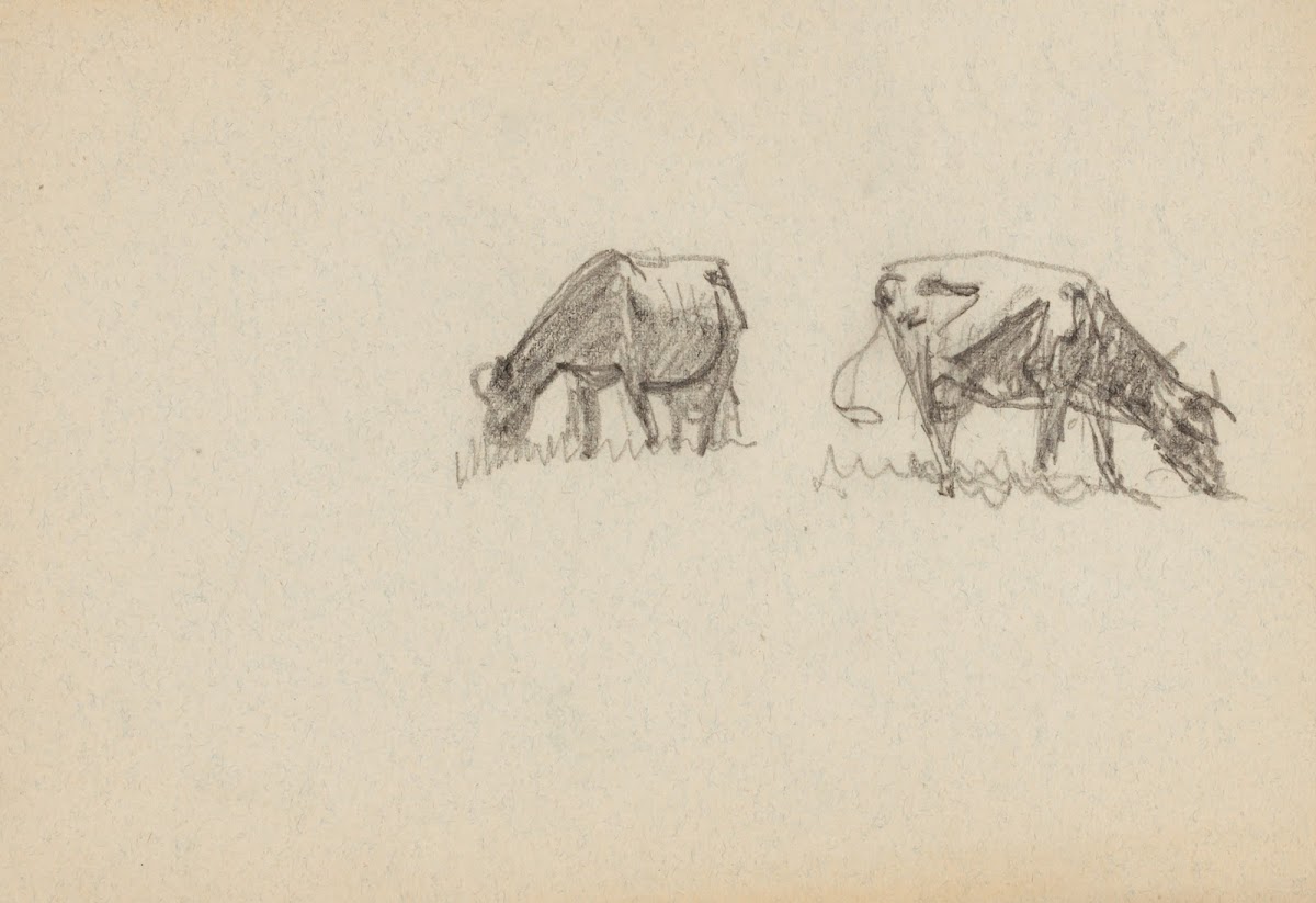 Two Cows