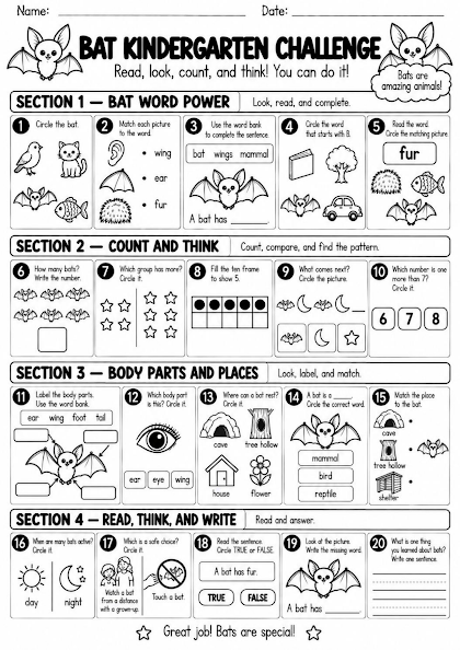 Bat Kindergarten Challenge Worksheet