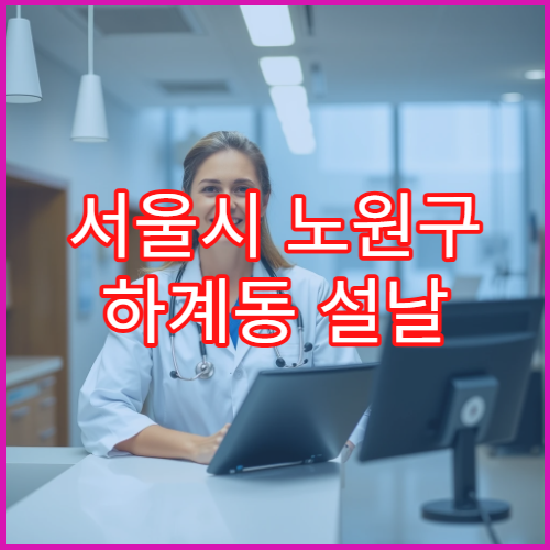 서울시 노원구 하계동 설날 명절 연휴 당직약국 장미1·2동 아파트 주변 심야 운영 감기약 취급 약국