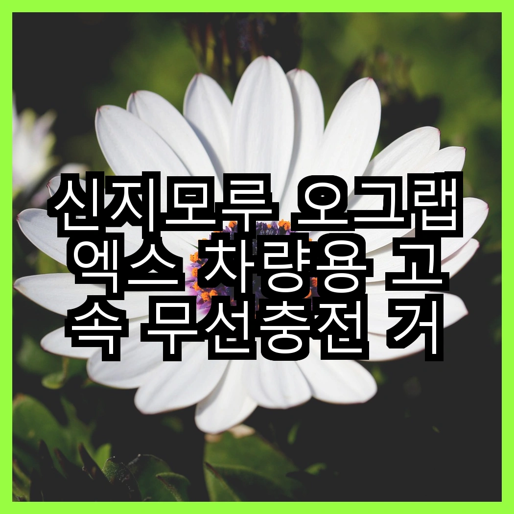 신지모루 오그랩엑스 차량용 고속 무선충전 거치대와 윌코 맥세이프 자석 거치대, 어떤 선택이 더 편리할까? 썸네일