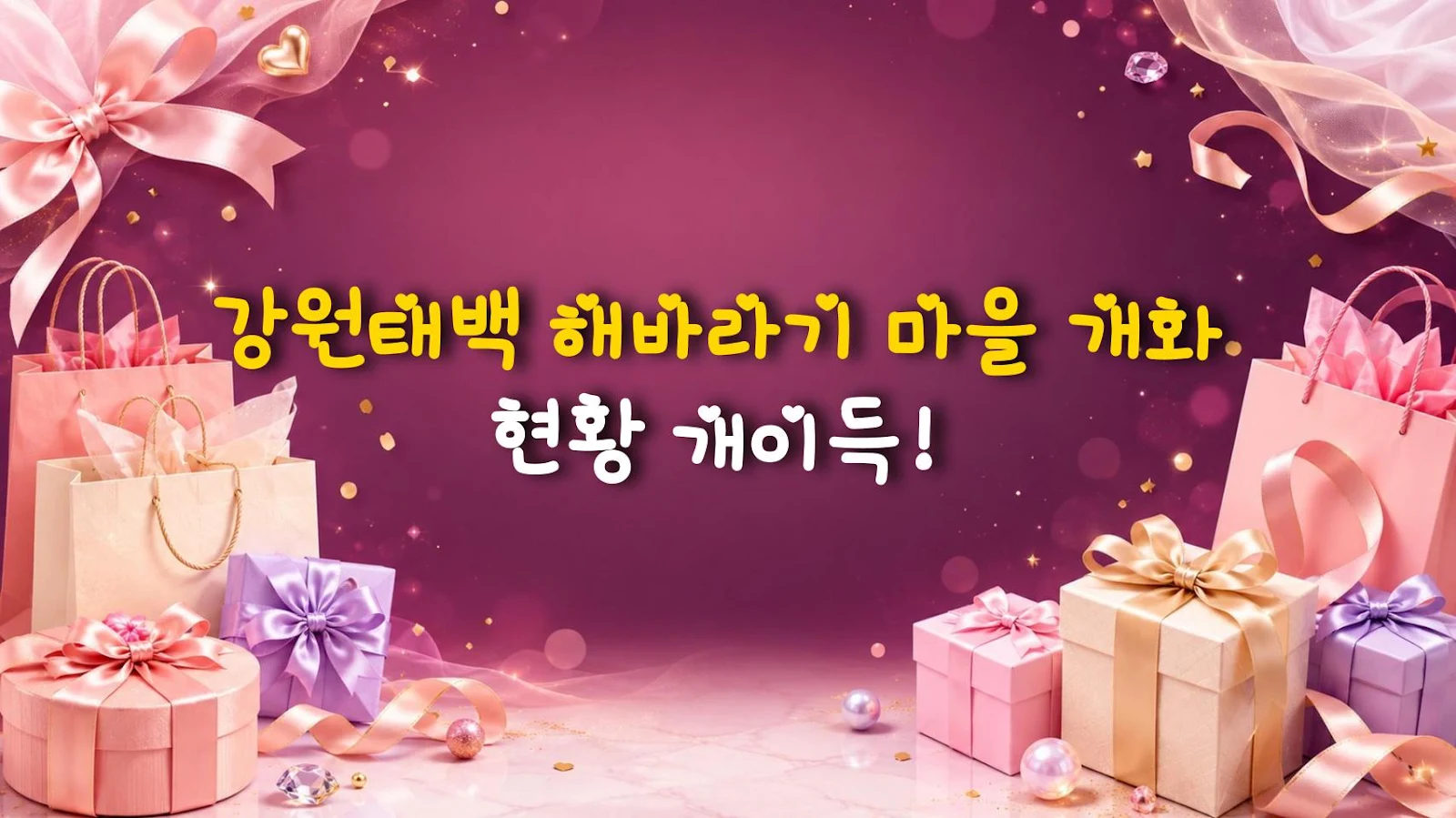 강원태백 해바라기 마을 개화 현황 개이득!