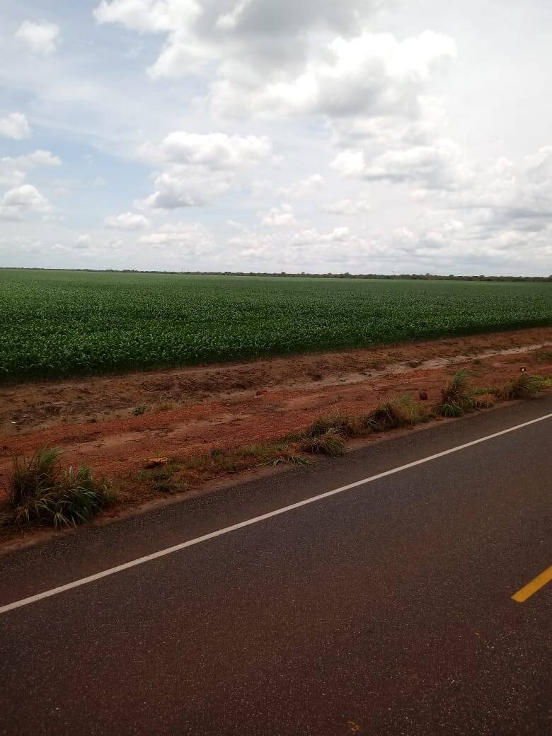Fazenda em Bom Jesus-PI 7