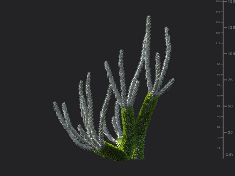 Maxtree - Plant Models Vol.130