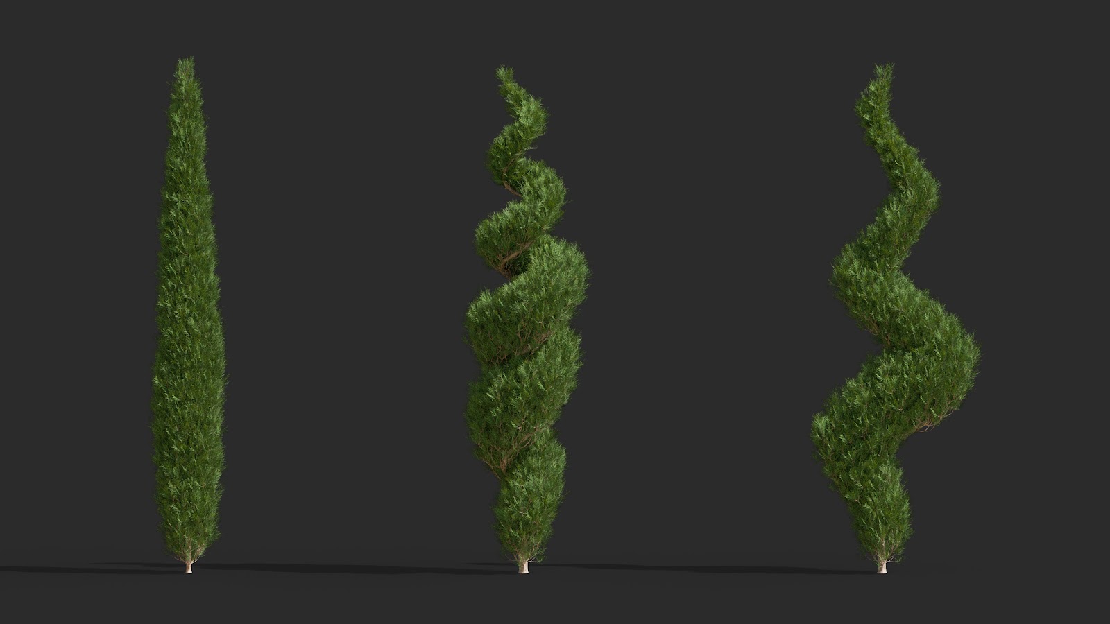 Maxtree - Plant Models Vol.63