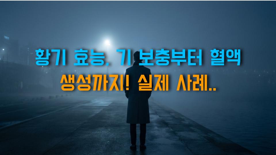 황기 효능, 기 보충부터 혈액 생성까지! 실제 사례와 함께 알아보자