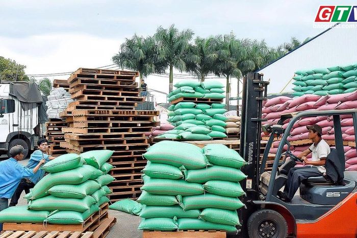 Điểm tin trưa: Gia Lai có 2 doanh nghiệp trong top xuất khẩu cà phê hàng đầu - Báo Gia Lai