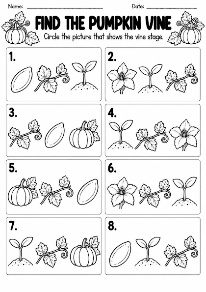 Pumpkin Vine Recognition Worksheet