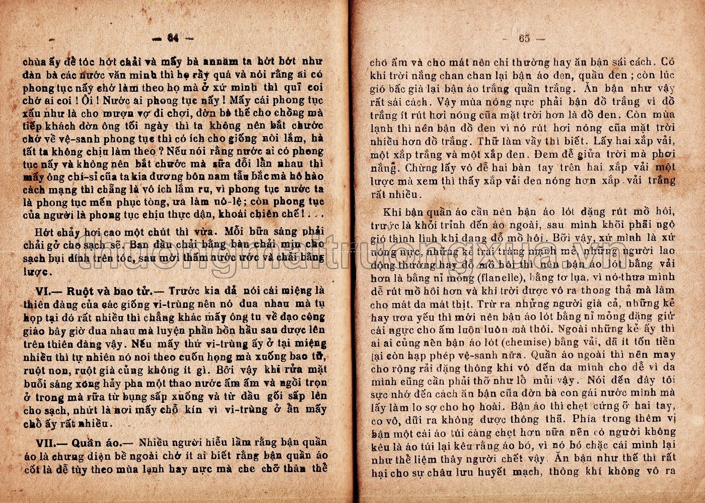 Vệ sanh người dị đoan mình (1929) - Trang 33