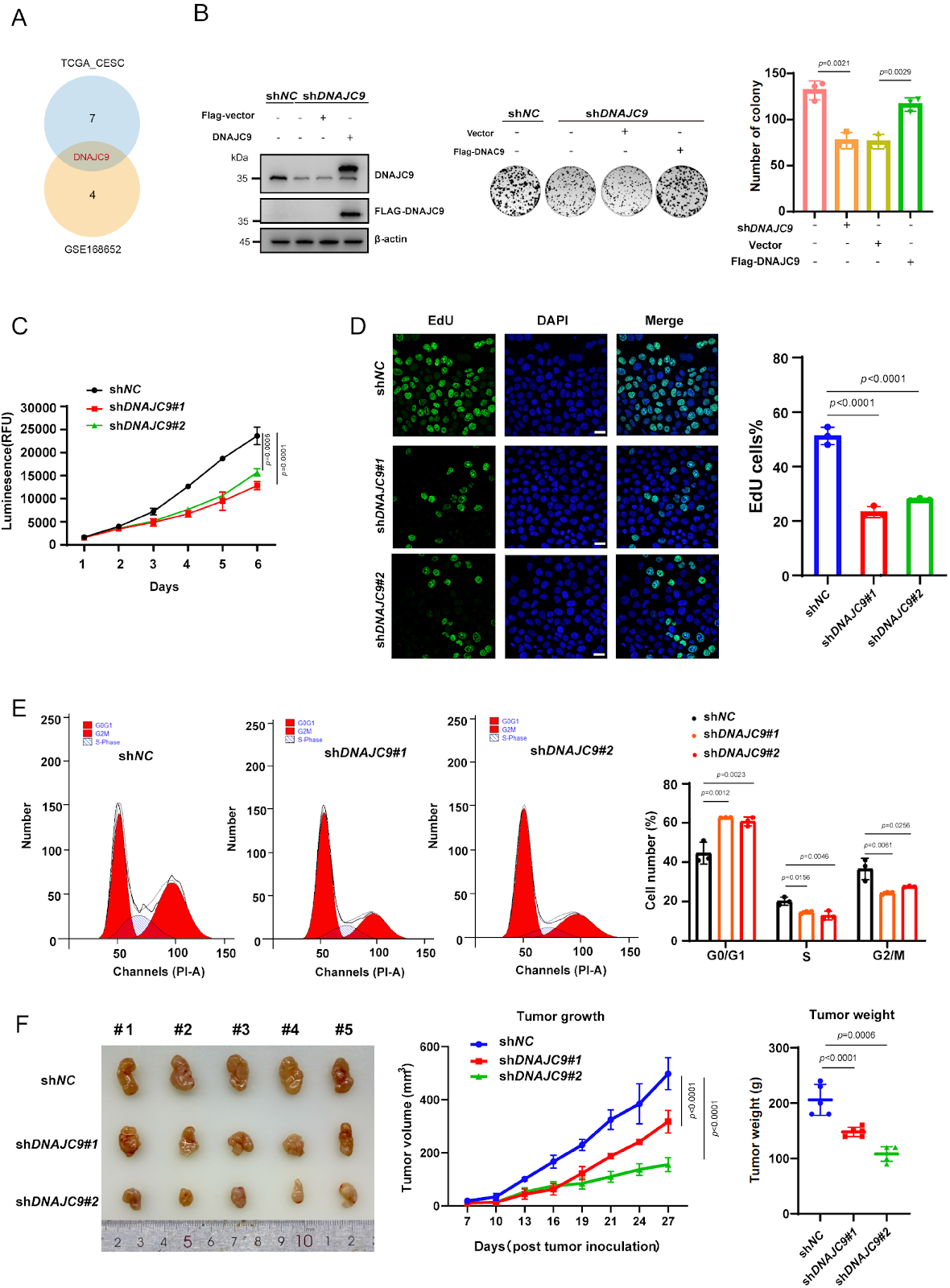 DNAJC9 promotes cervical cancer cell proliferation by regulating GLI1 expression