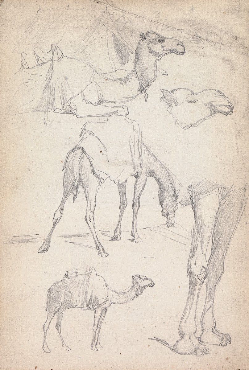 Studies of Camels 1860