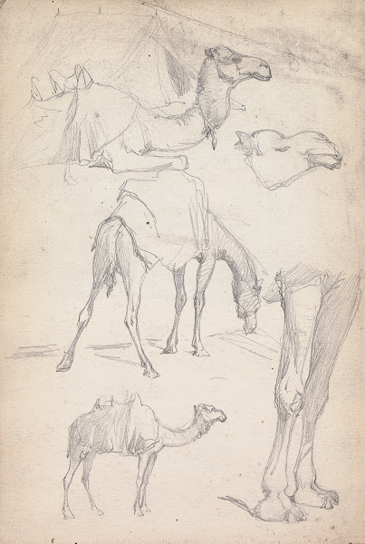 Studies of Camels 1860