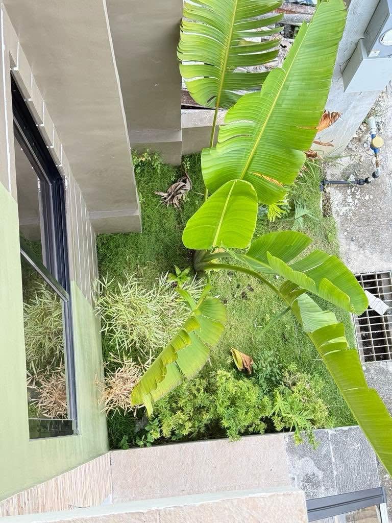 Exterior view of property