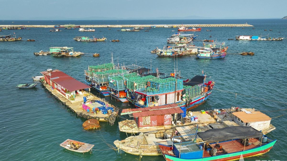 Từ Cô Tô đến Trà Cổ: Xây thế trận lòng dân nơi phên giậu Đông Bắc - Bài 1: Ý Đảng soi sáng chiến lược giữ biển từ sớm, từ xa - Báo Quân Đội Nhân Dân