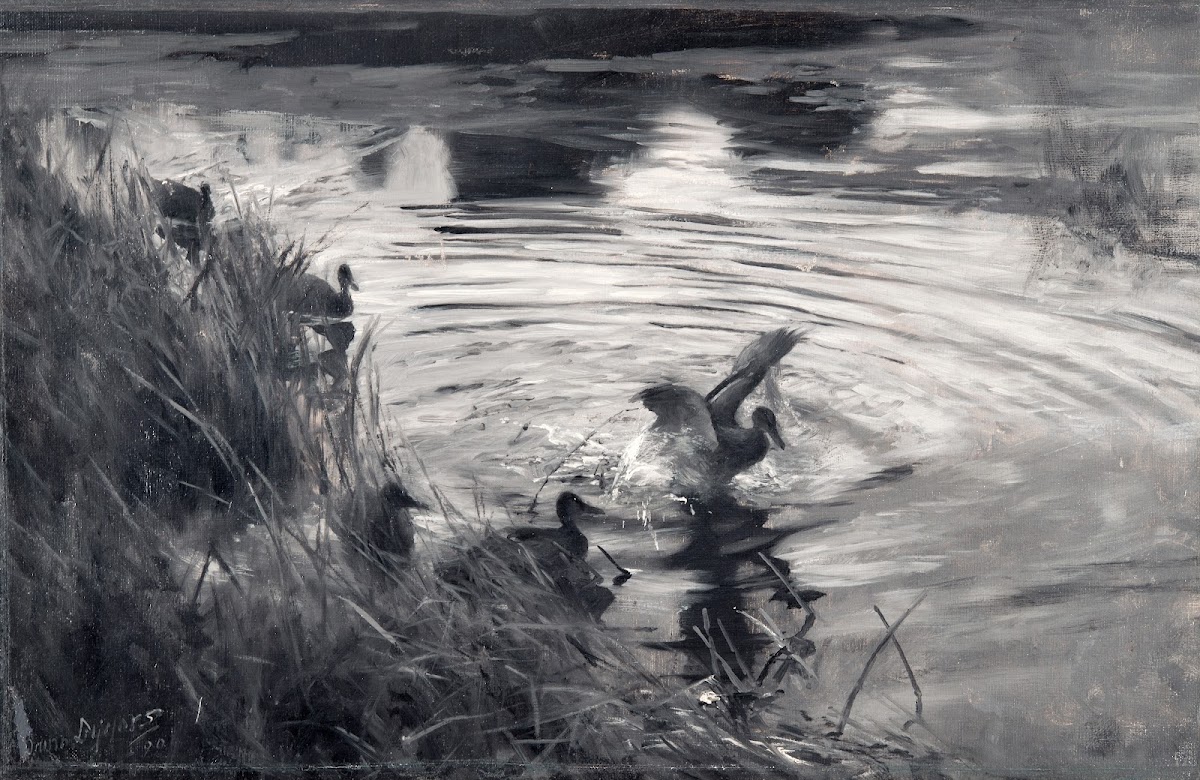 Wild Ducks among Reeds 1890