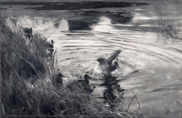 Wild Ducks among Reeds 1890