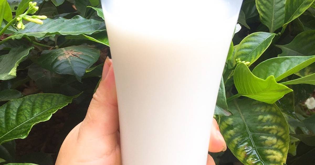Sữa Gạo Hàn Quốc
