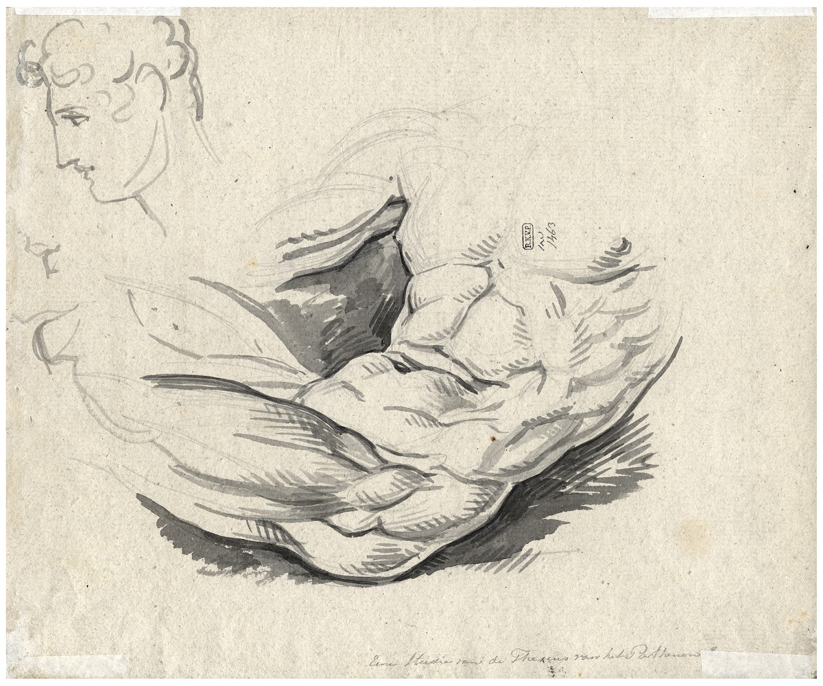 Torso