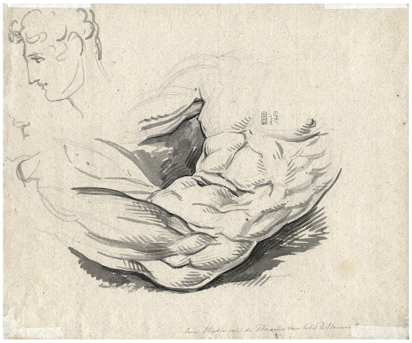 Torso