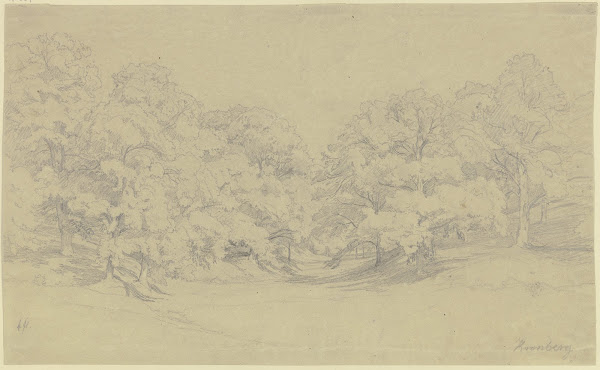 Chestnut forest near Kronberg