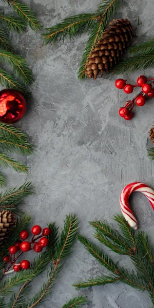 Nong Nooch Tropical Garden, Christmas, Christmas Ornament, Green, Light 2K iPhone Wallpaper Background