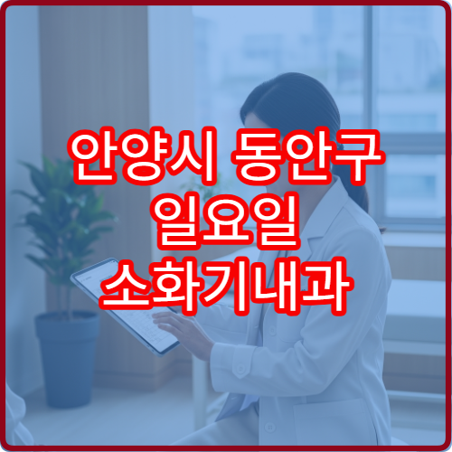 안양시 동안구 일요일 소화기내과 진료 병원 복통·소화불량 상담 가능