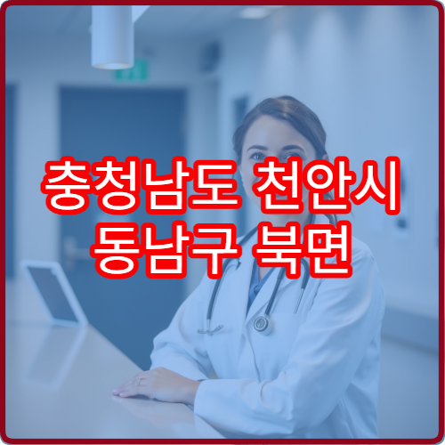 충청남도 천안시 동남구 북면 설날 연휴 문 여는 약국·비상약국 안내