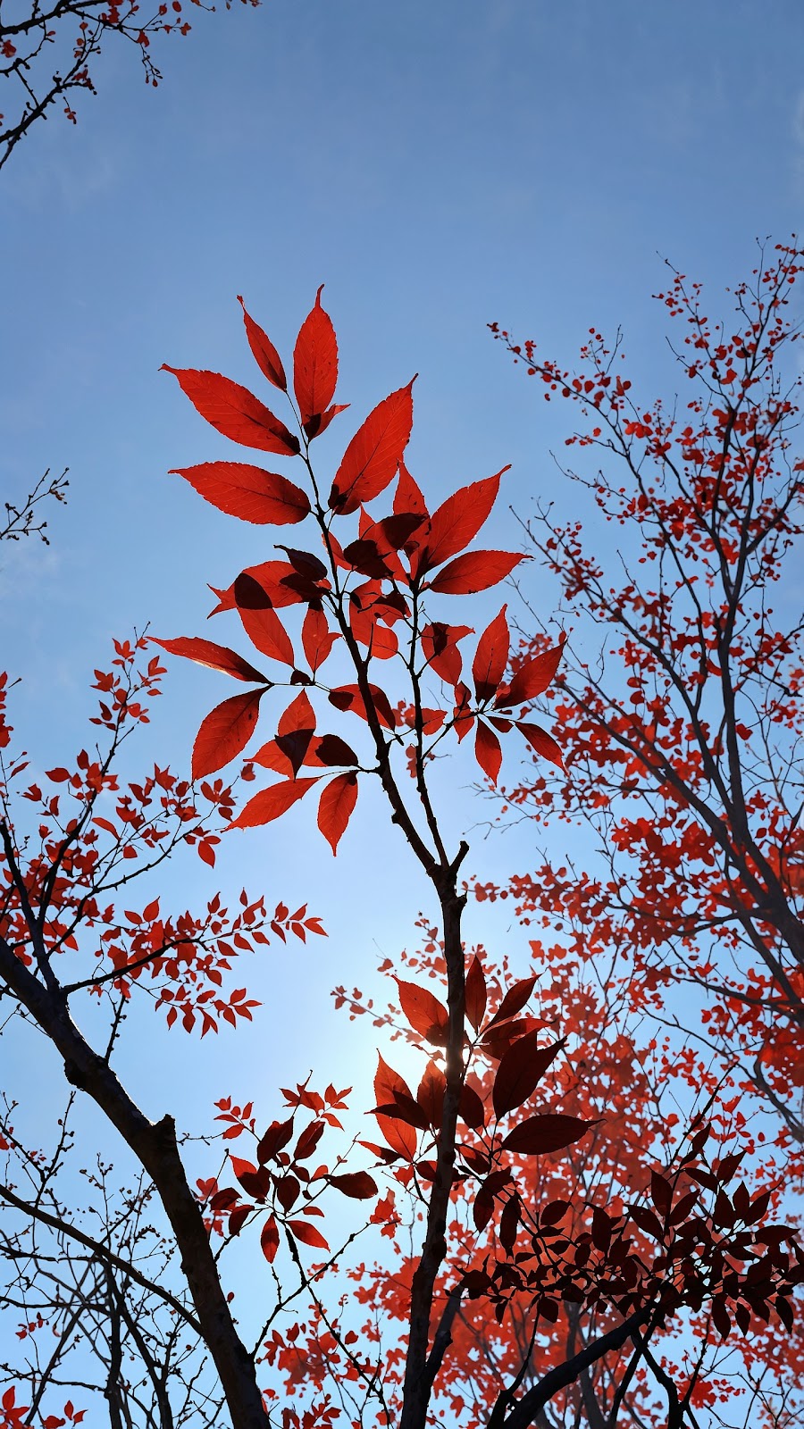 10+ Wallpaper Aesthetic