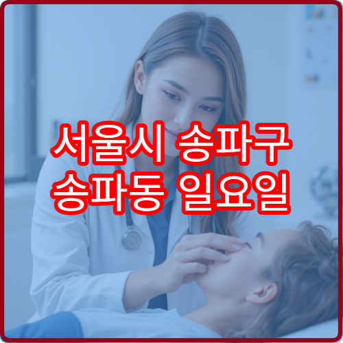 서울시 송파구 송파동 일요일 산부인과 진료 병원 여성 진료