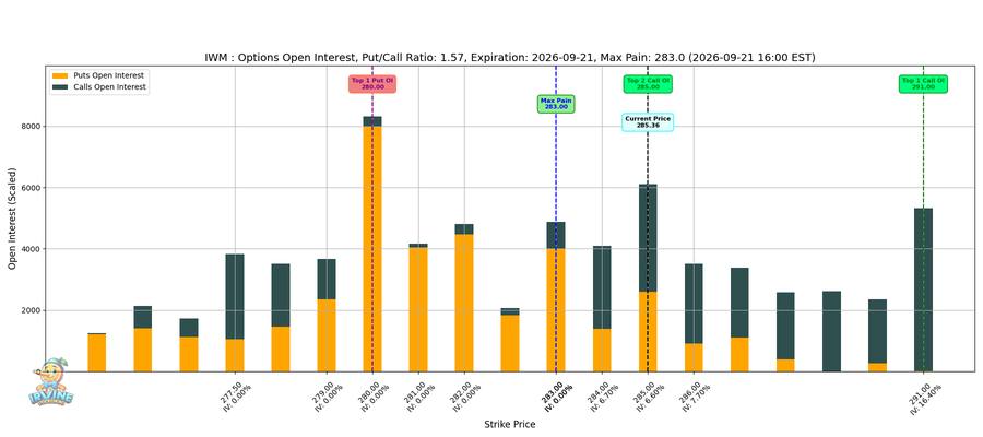 IWM Options