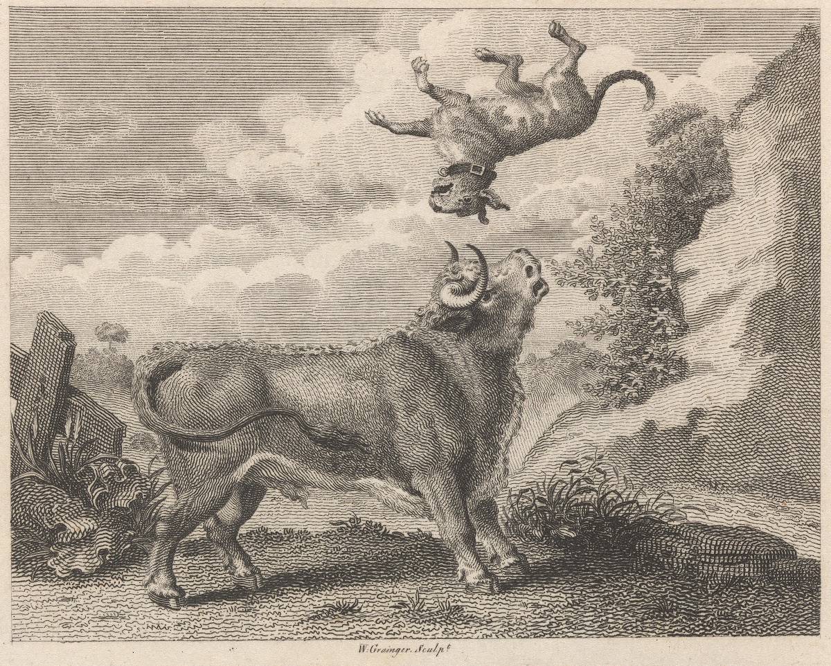 Fable IX The Bull and the Mastiff 1793