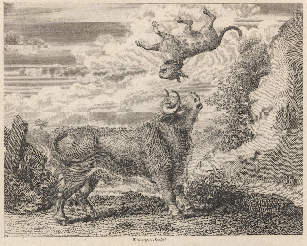 Fable IX The Bull and the Mastiff 1793