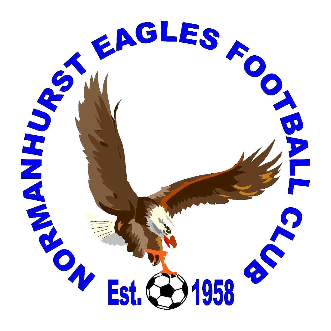 Normanhurst Eagles logo