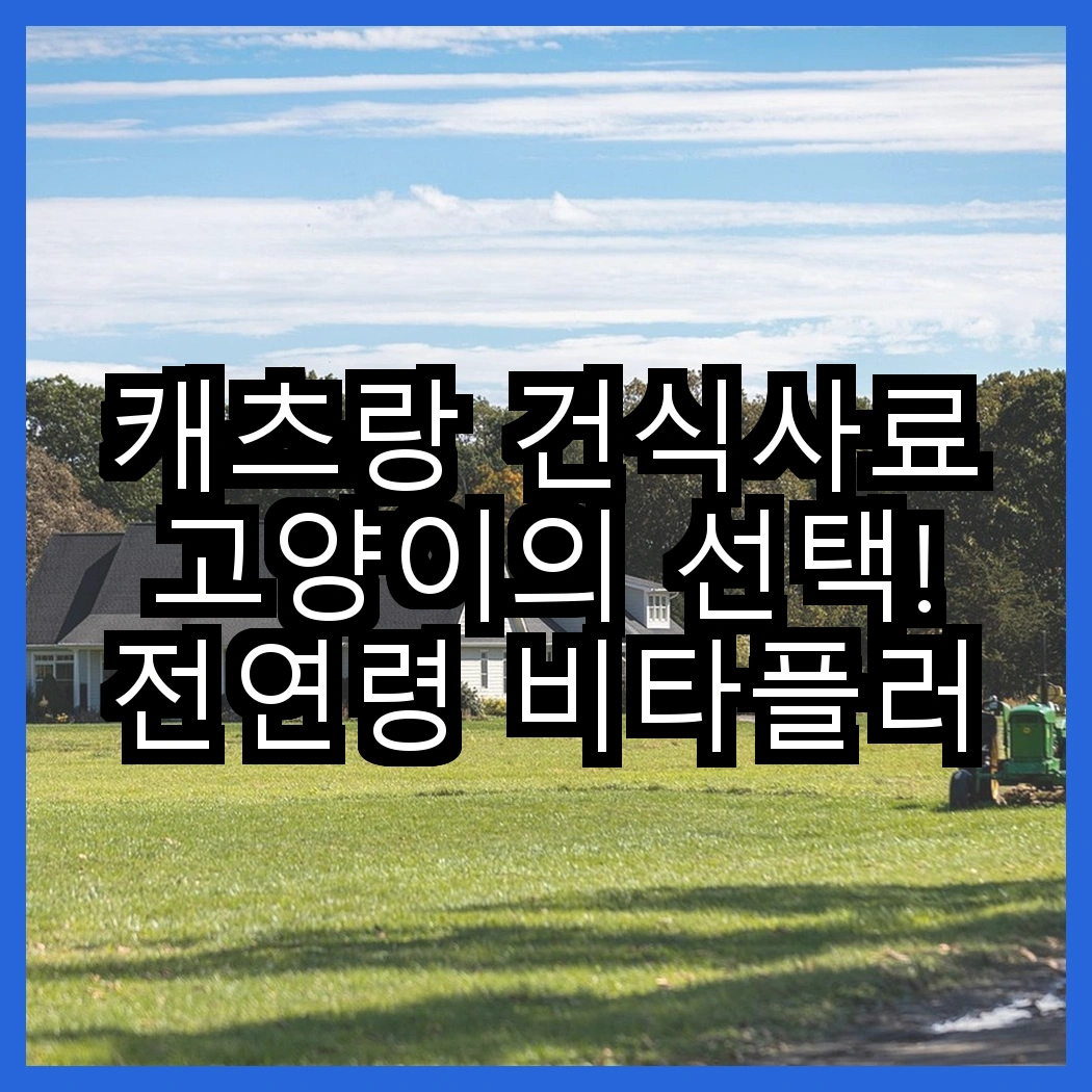 캐츠랑 건식사료 고양이의 선택! 전연령 비타플러스 vs NEW 전연령, 어떤 차이가 있을까요? 썸네일