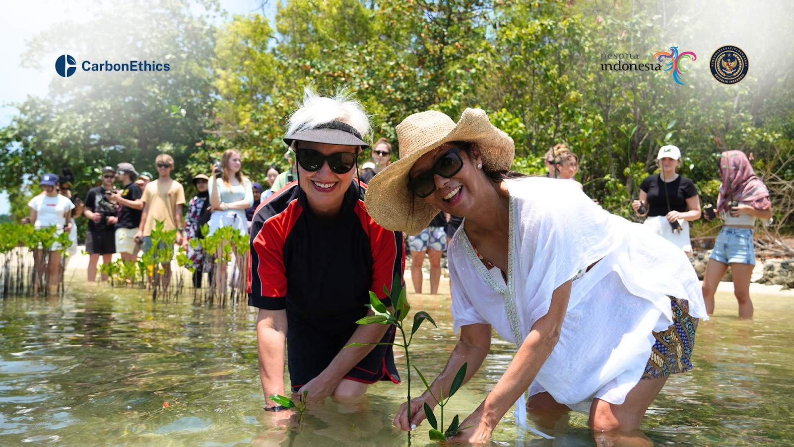 CarbonEthics, in collaboration with its clients, is actively engaged in mangrove planting efforts.