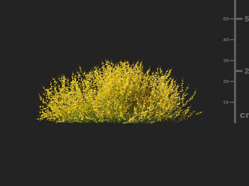 Maxtree - Plant Models Vol.127