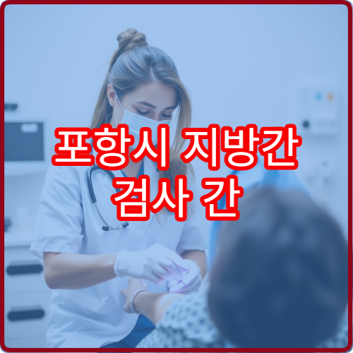 포항시 지방간 검사 간 수치 관리 생활습관 교정 내과 병원