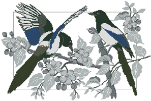 CMP 3489 Pattern