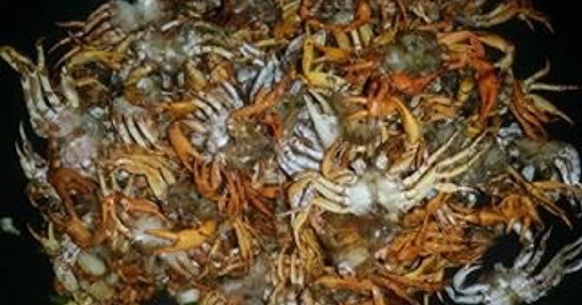 Cua rang muối tôm