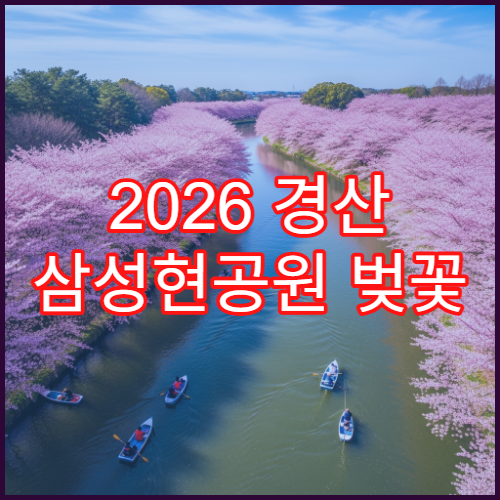 2026 경산 삼성현공원 벚꽃 캠핑 의자 피크닉 해질녁 명당 위치
