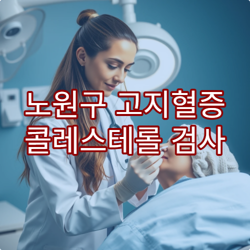 노원구 고지혈증 콜레스테롤 검사 치료 병원 식이요법 안내