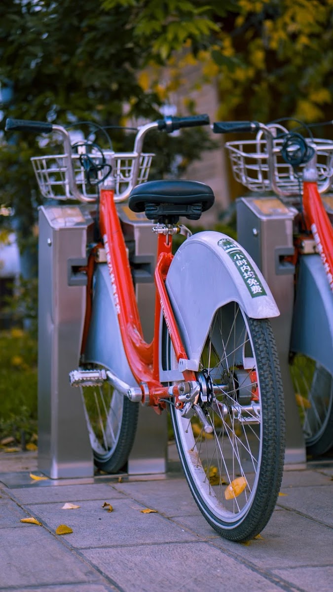 정부 지원 전세자금 대출 종류별 조건과 신청 방법
