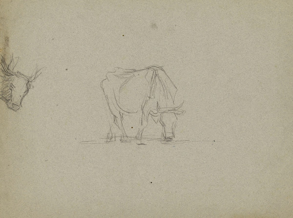 Vache et tête de vache 19th century