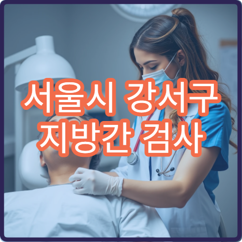 서울시 강서구 지방간 검사 간 수치 관리 생활습관 교정 내과 병원