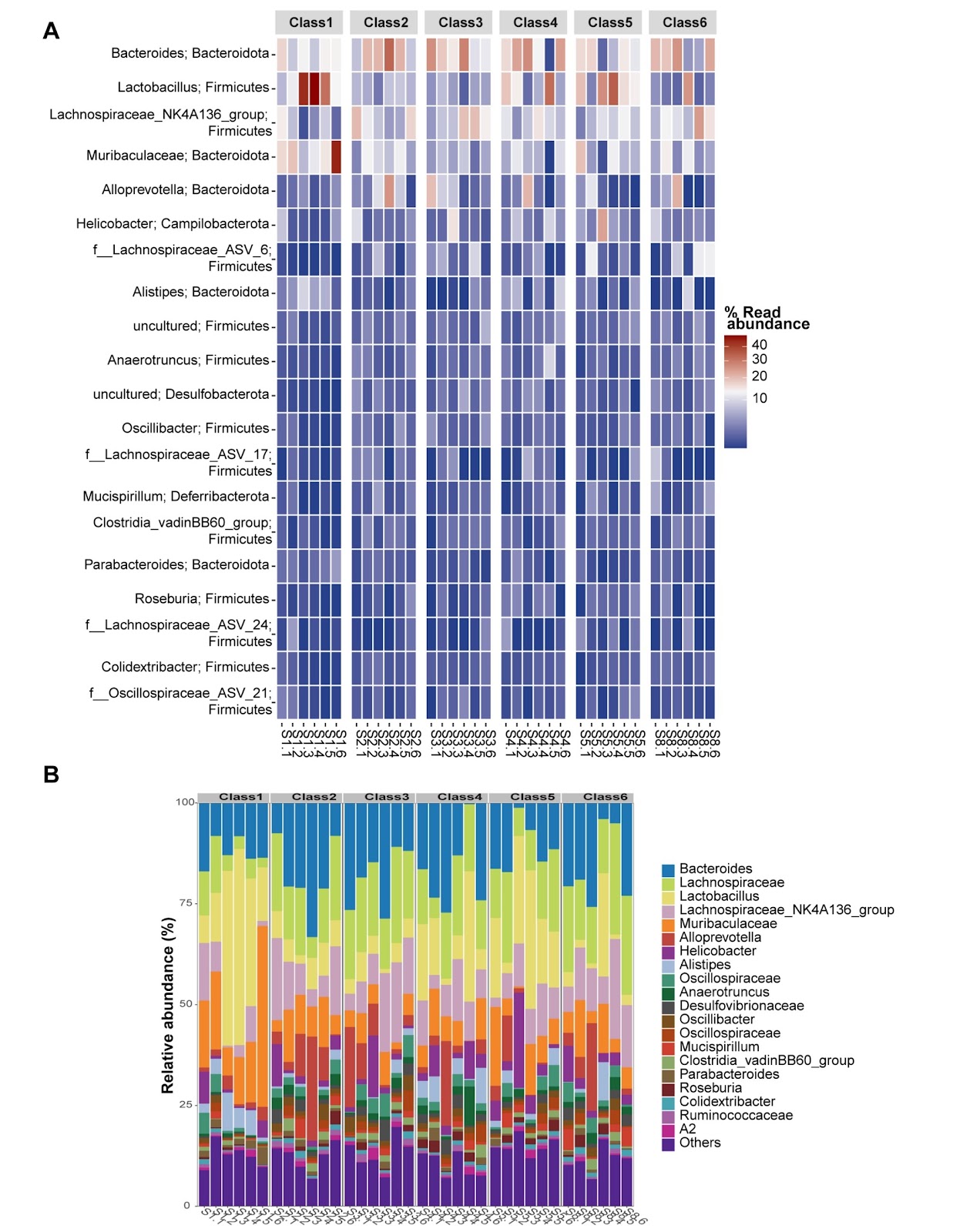 Rutaecarpine ameliorates imiquimod-induced psoriasis-like dermatitis in mice associated with alterations in the gut microbiota