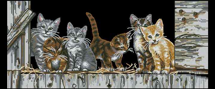 CMP 400566 Ears Paws Tail Gang