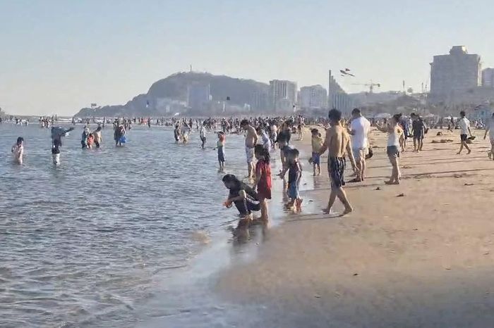 Sâu biển dày đặc, nhiều du khách đến Vũng Tàu ngao ngán - Báo Tiền Phong