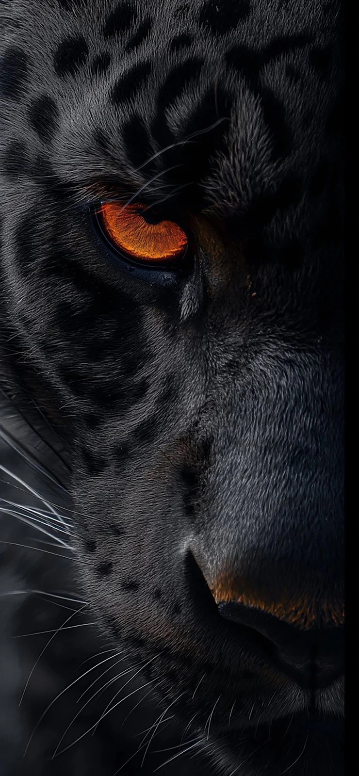 Black Leopard With Orange Eye - Wildlife Portrait Full HD iPhone Wallpaper (1284x2778)