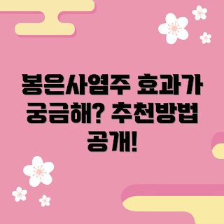 봉은사염주 추천, 봉은사염주 효과, 명상 용품, 2023 인기 아이템, 마음의 평화